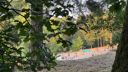 Chillen am See